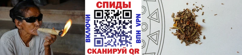 БУТИРАТ Butirat  мориарти телеграм  Пересвет 