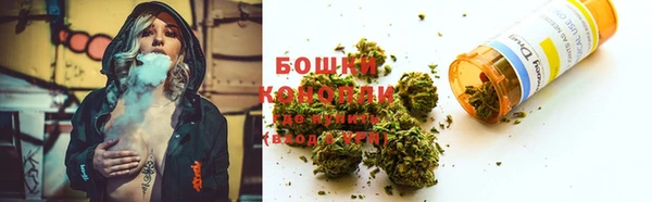 крисы Слюдянка