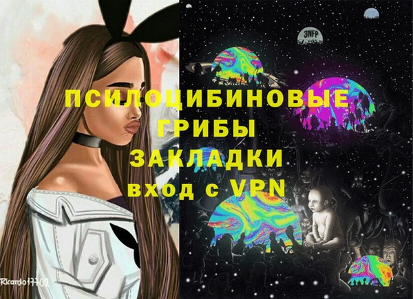 крисы Слюдянка