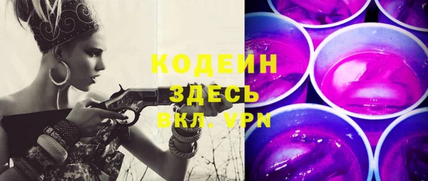 крисы Слюдянка